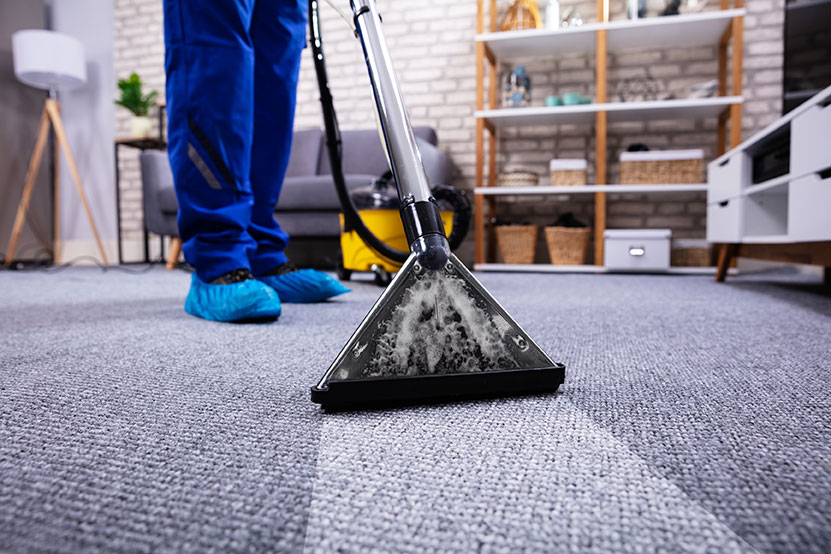 carpet cleaning and extraction professional carpet cleaner utilizes hot water extraction