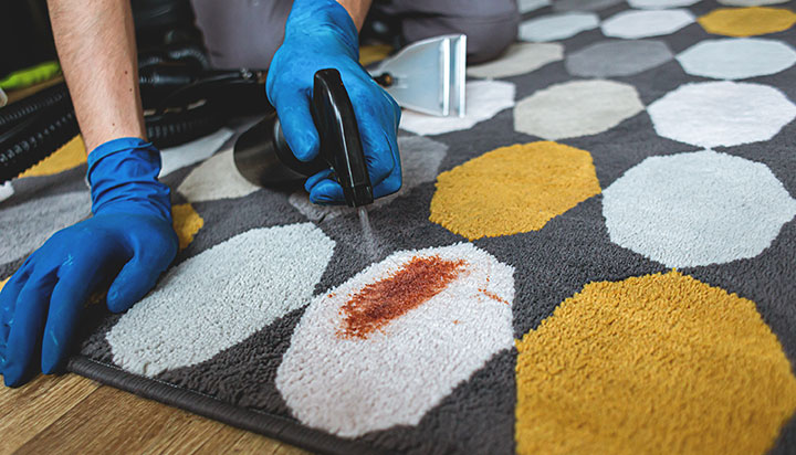 carpet spot cleaning professional removes stain from a rug.