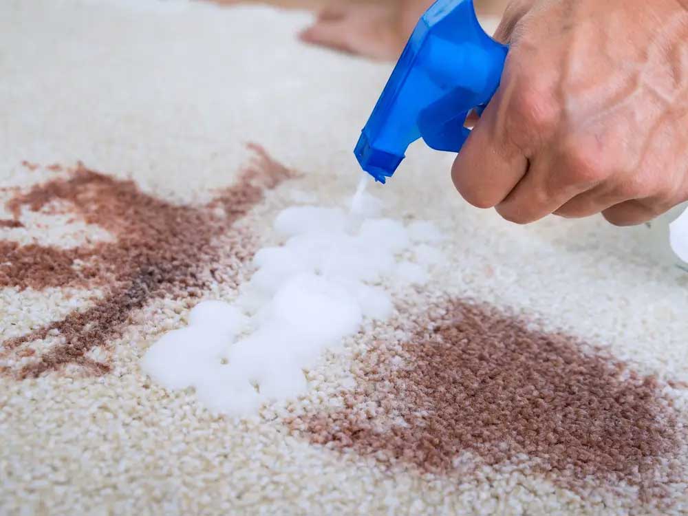 carpet spot cleaning with a detergent. 