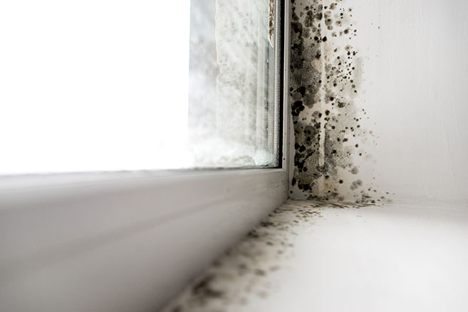 Dirty window with mold and moisture problems.