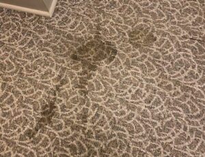 Old dirty carpet stain