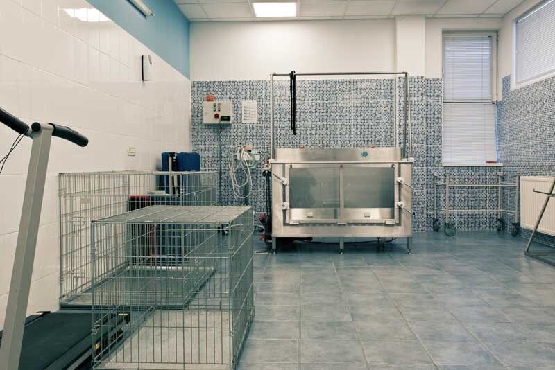 Vet clinic cleaning services